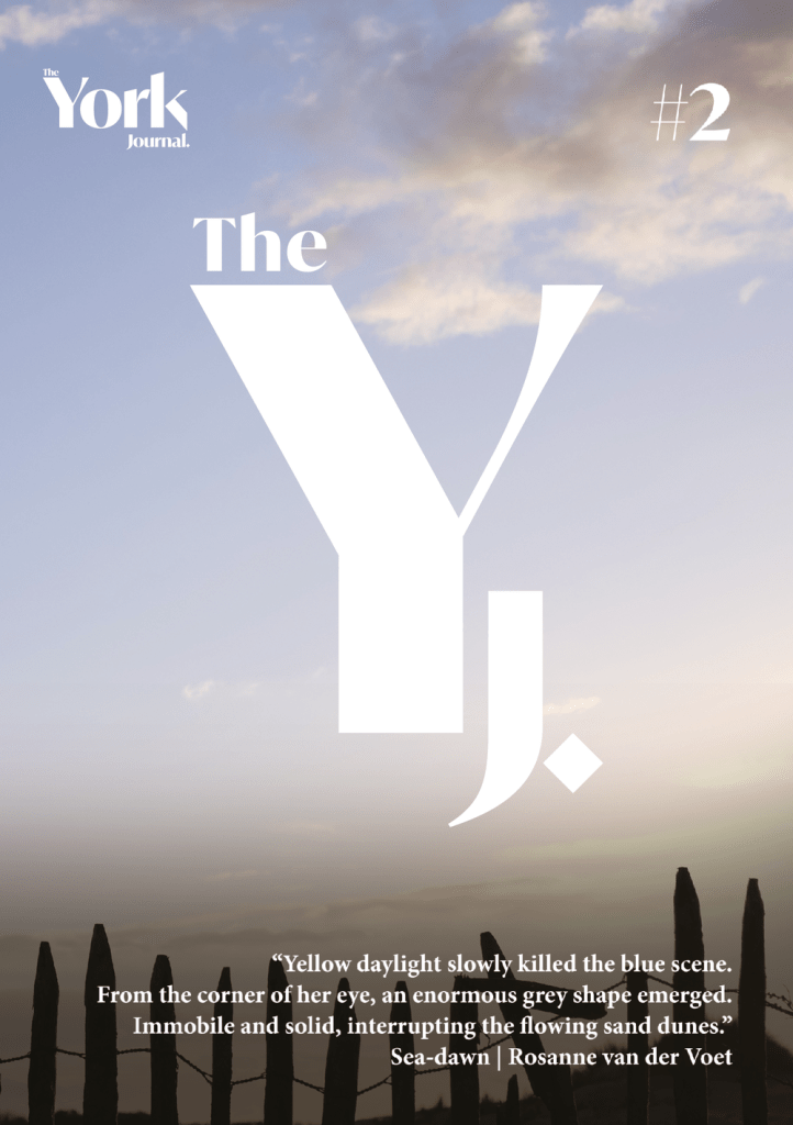 Cover of the Yourk Journal 2. Image of the skyline over a wooden fence, with The Y J written centrally.